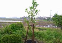 仕事関係_210520_2