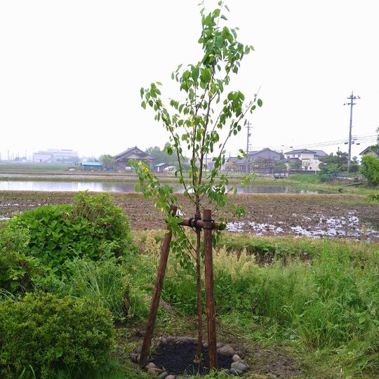 仕事関係_210520_2