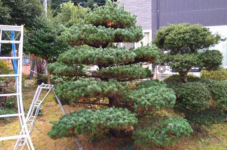 LINE_ALBUM_2021313_220107_25