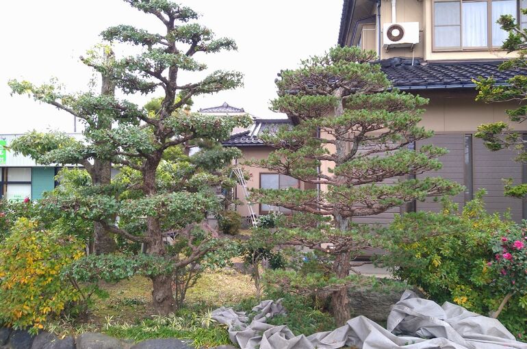 LINE_ALBUM_2021313_220107_22