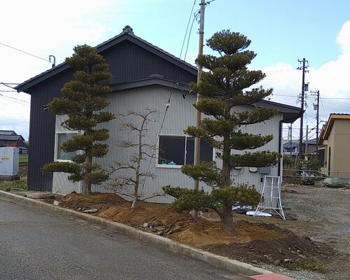 LINE_ALBUM_2021313_220410_10