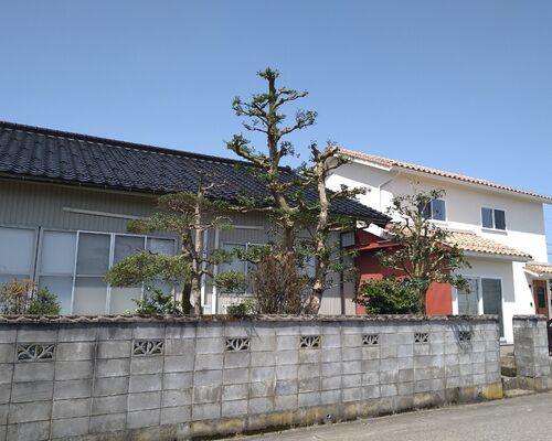 LINE_ALBUM_2021313_220410_13