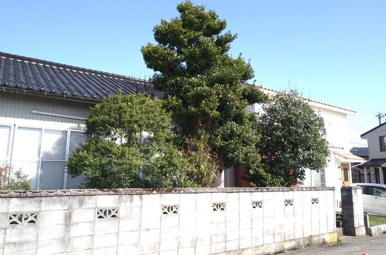 LINE_ALBUM_2021313_220410_15