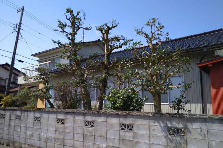 LINE_ALBUM_2021313_220410_12