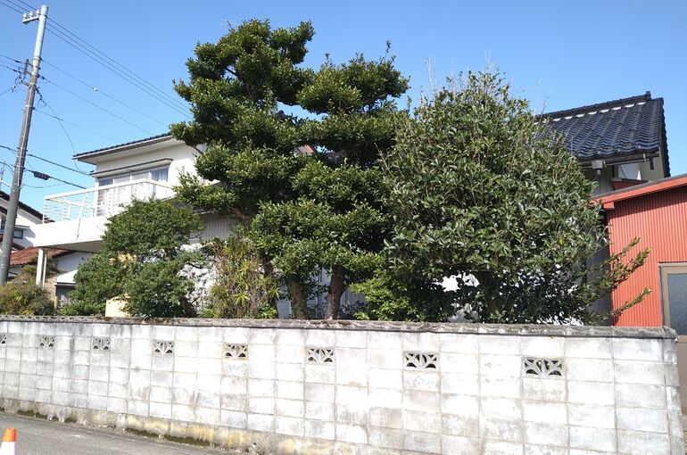 LINE_ALBUM_2021313_220410_14
