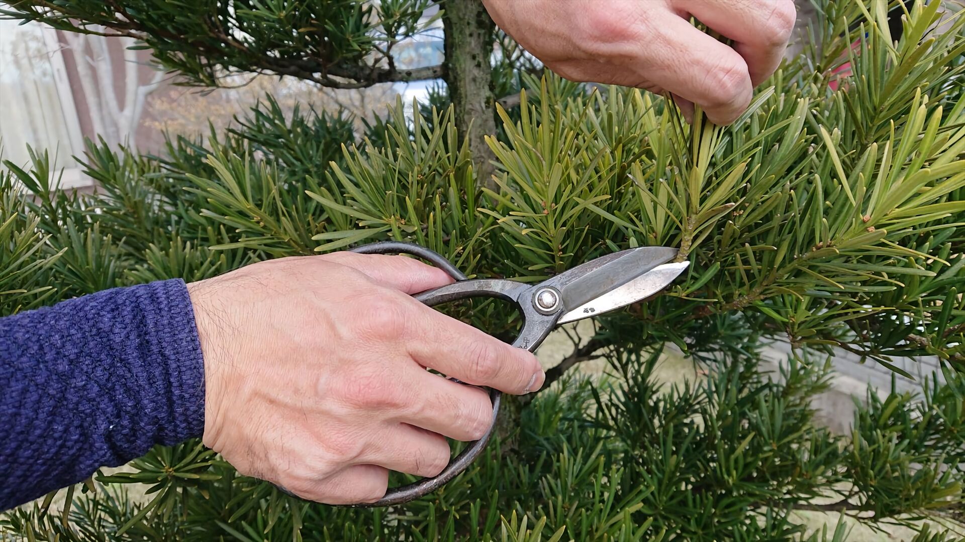 1586820481256_waifu2x_photo_noise3_scale_tta_1